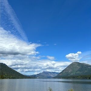 Meet your Posher, Callie